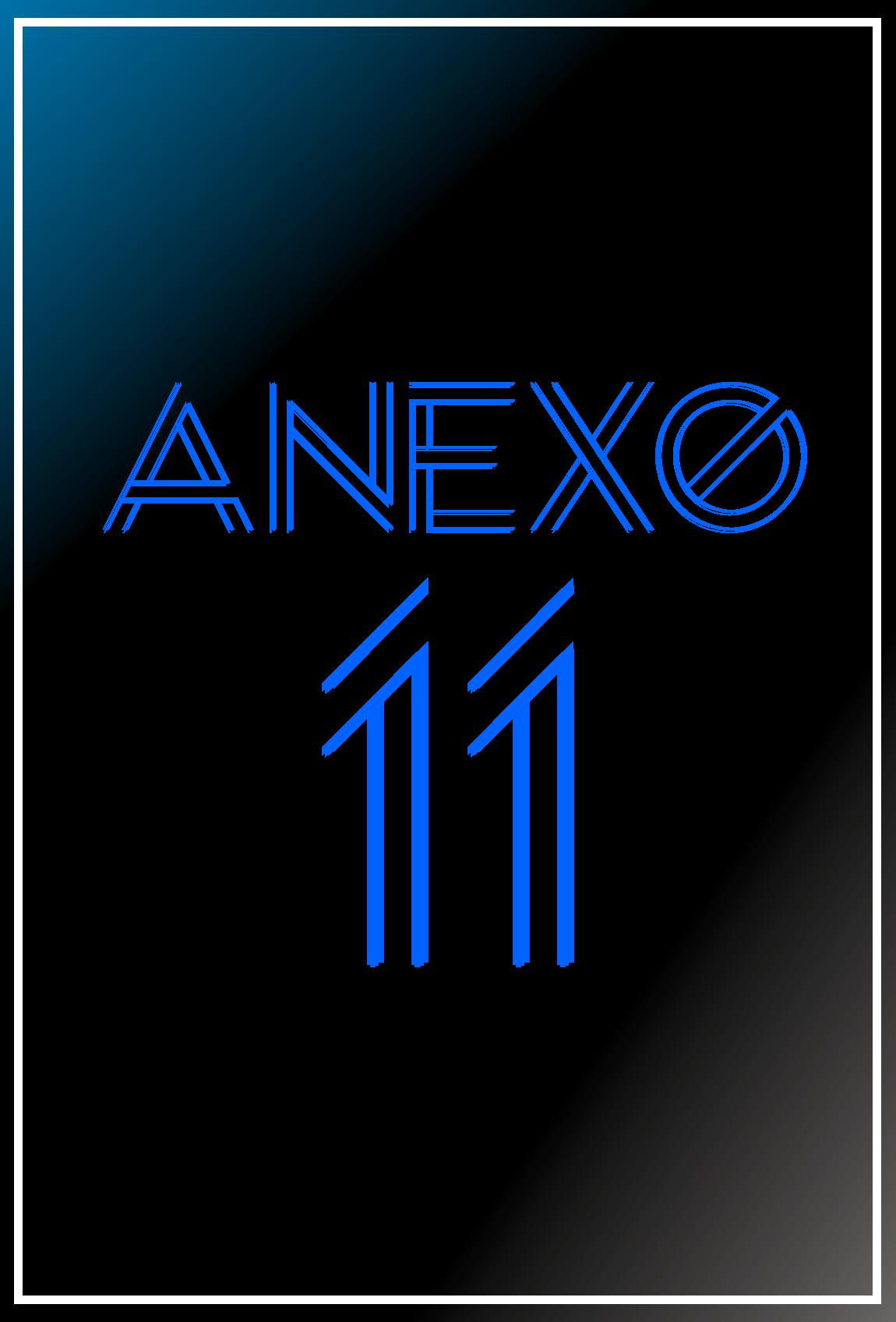 Anexo 11